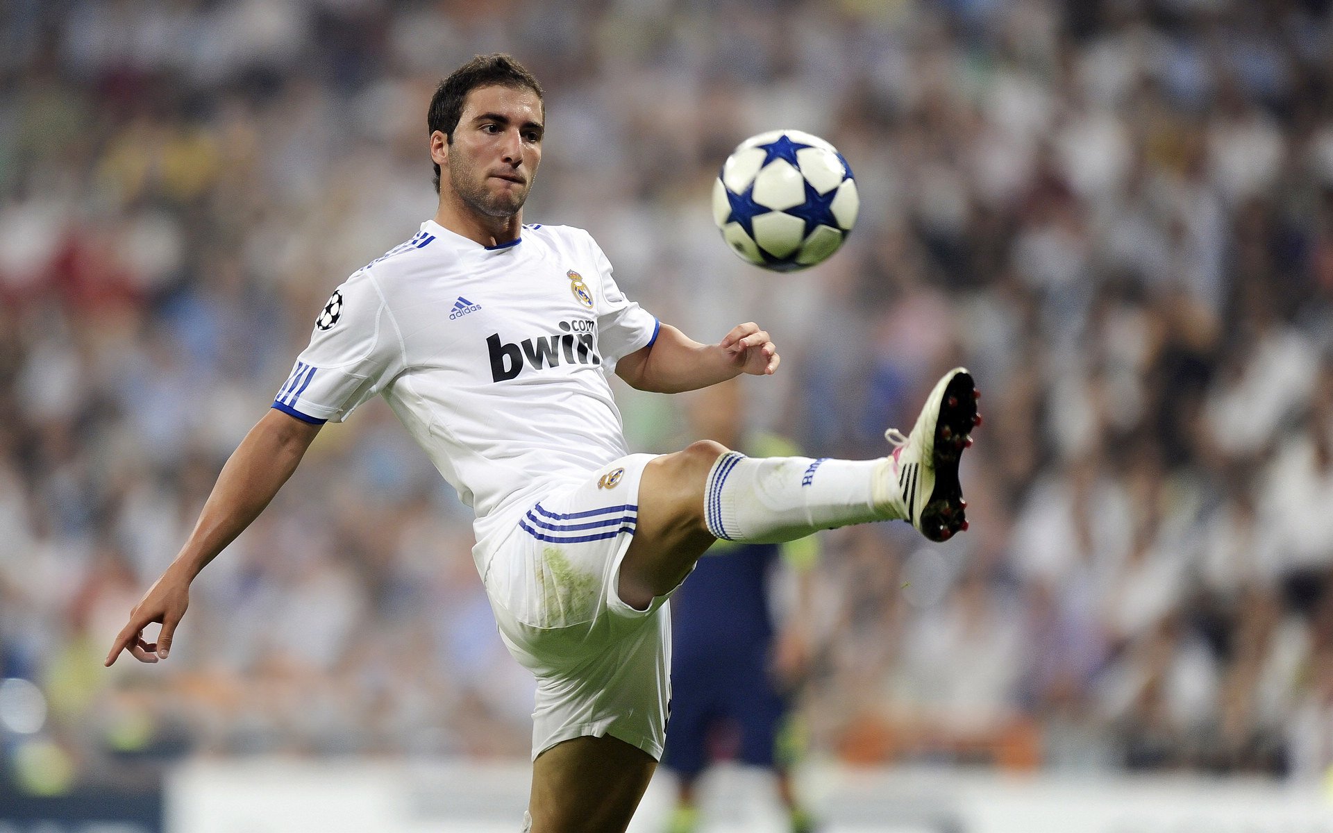 足球青训基地数量五年增长一倍，足球青训基地中心标准